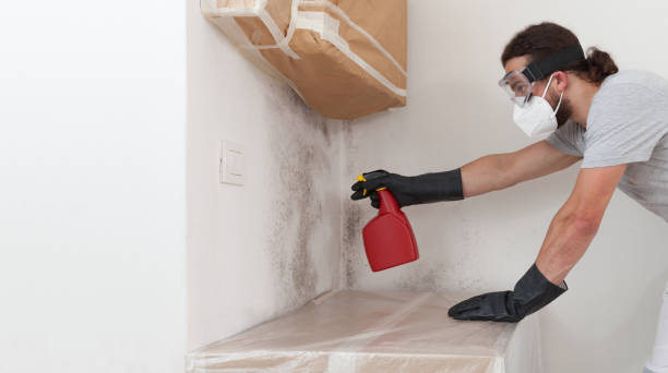 Professional Basement Mold Remediation technician working in Old Westbury, NY