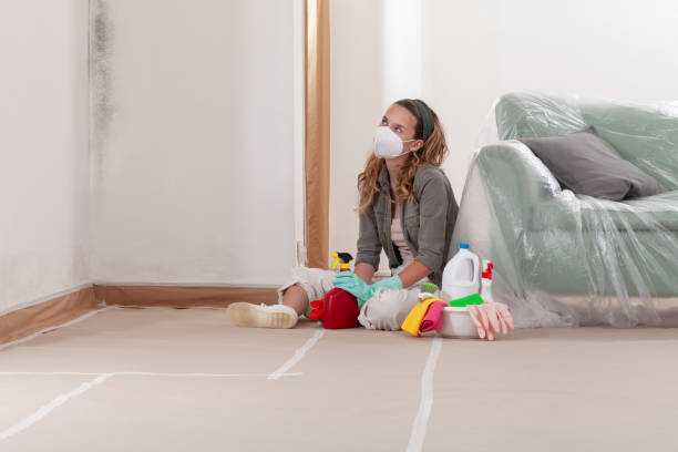 Reliable Basement Mold Remediation contractor in Old Westbury, NY by WQB Mold Removal